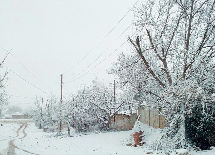 Güclü külək əsəcək, qar yağacaq, temperatur 5-8 dərəcə enəcək