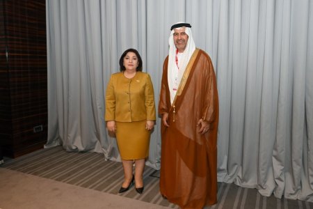 Тариг Альтайер: Объединенные Арабские Эмираты намерены расширять сотрудничество с Азербайджаном