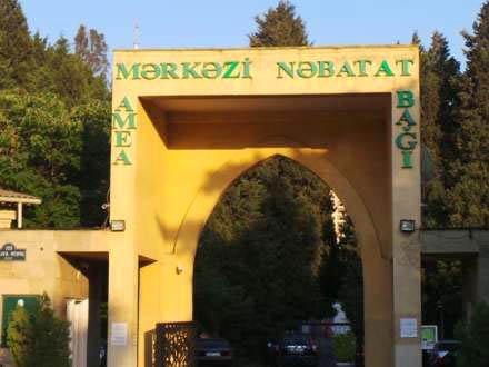 Mərkəzi Nəbatat Bağı bu il istifadəyə veriləcək