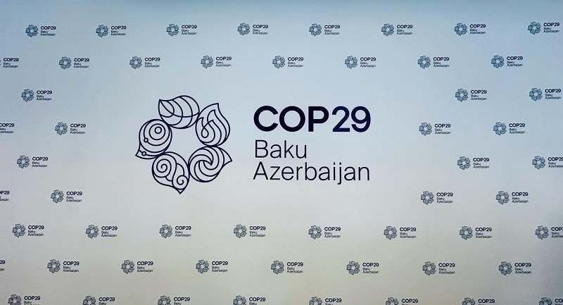 COP29 könüllüləri üçün qeydiyyat başladı