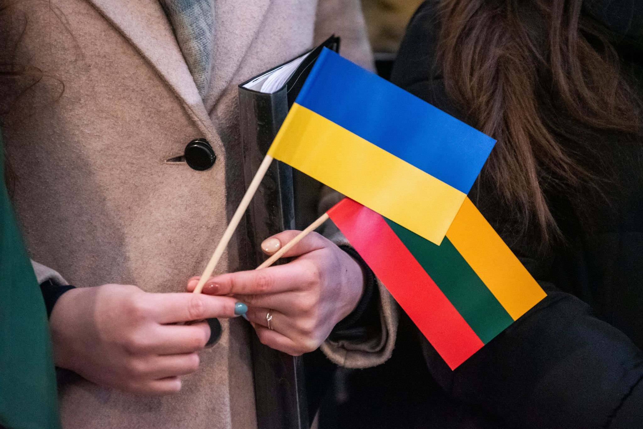 Litva Ukraynaya hərbi təlimatçılar göndərməyə hazırdır - Baş nazir