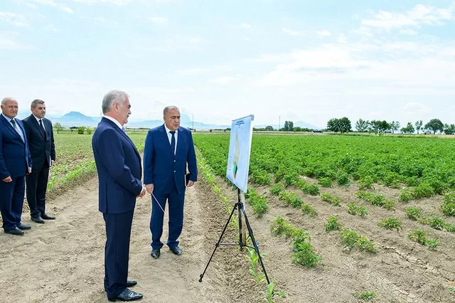 Vasif Talıbovun Naxçıvanda yaratdığı fermer təsərrüfatı ləğv edildi