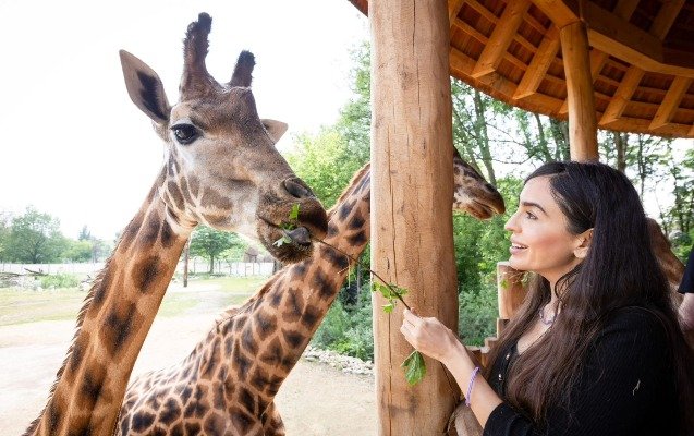 Leyla Əliyeva Berlin zooparkında - Fotolar