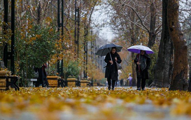 Bazar gününün hava proqnozu