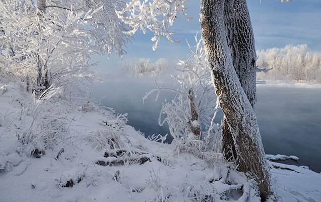 Sabah 20° şaxta olacaq