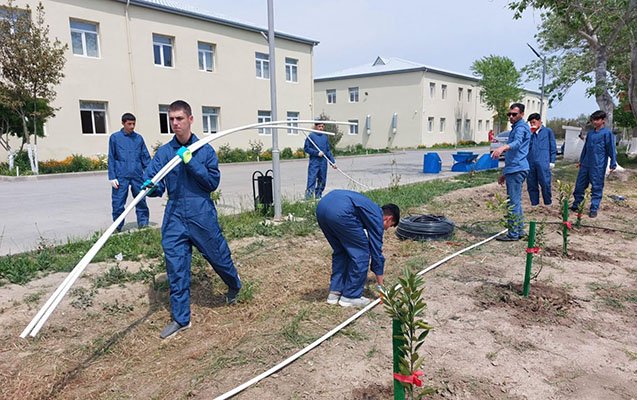 Neftçala Peşə Məktəbində tədris yeniləndi - Fotolar
